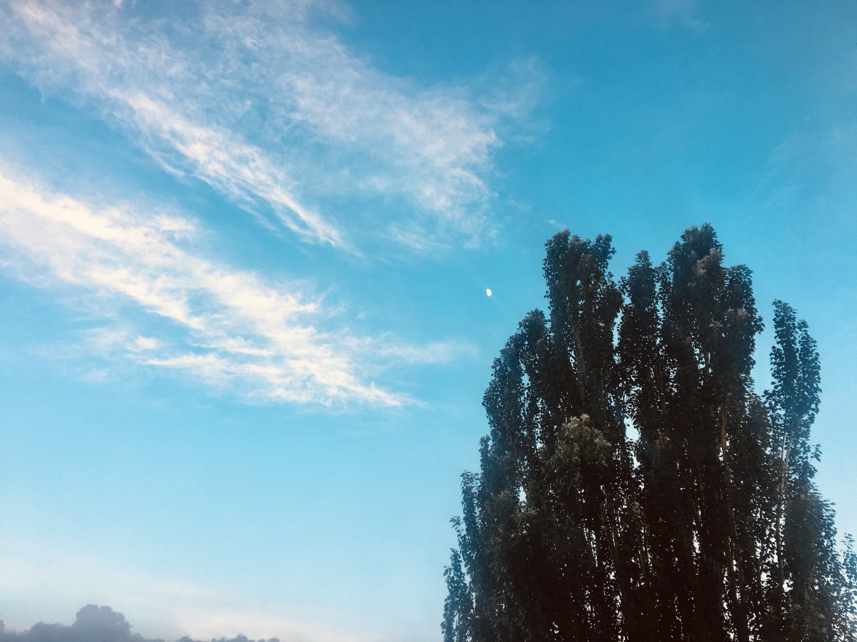 雨过天晴有好心情