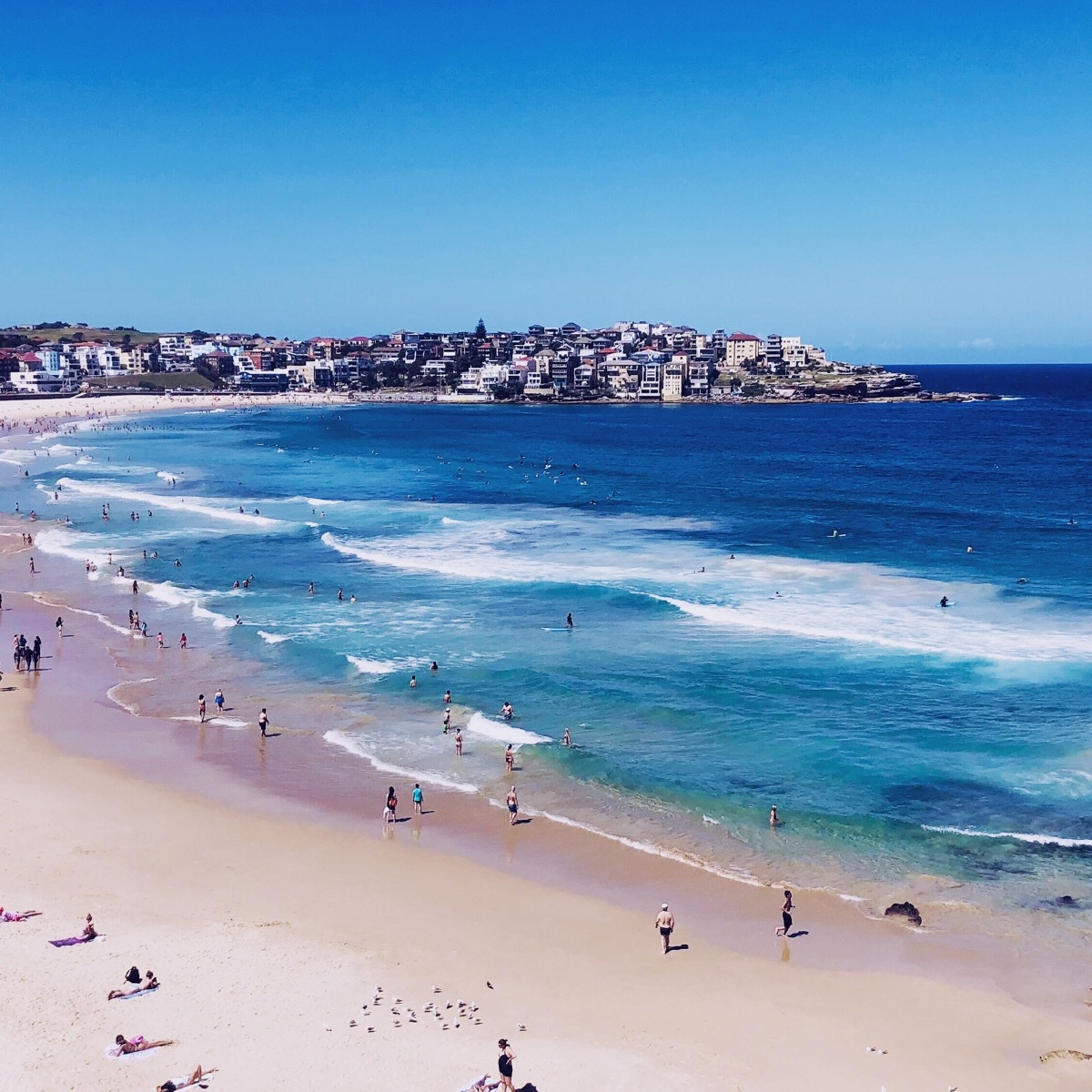 悉尼邦迪海滩网红游泳池