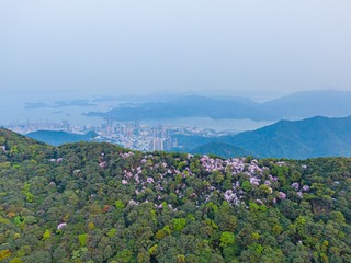 97743