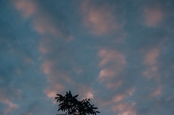 1000002735