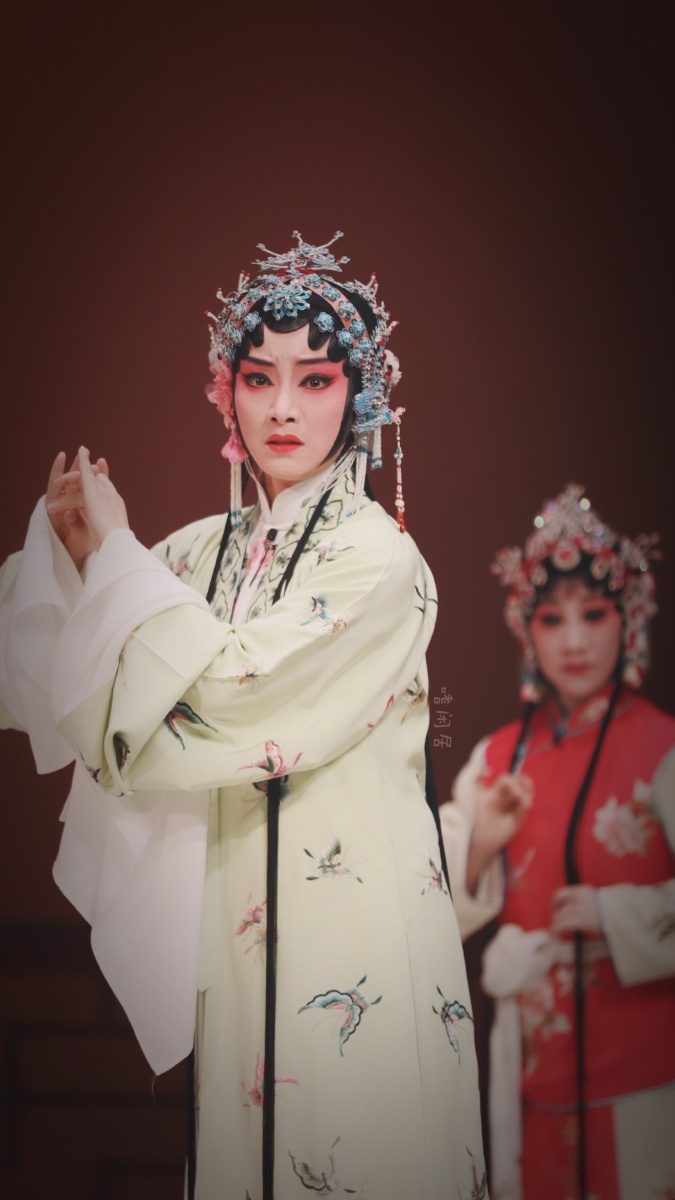 嗜闲20201228苏剧花魁记雪塘焚契by翁育贤苏昆旦角的特色是昆曲苏剧皆