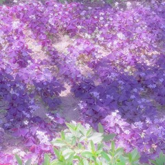 A7F6E664-D3E3-4001-AFF1-999A99D31820/L0/001