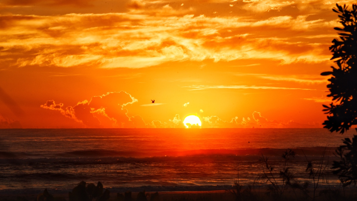 黄金海岸城如其名日出的时候整座城就被金黄色的天空笼罩着