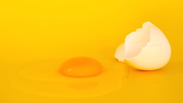 C53E7E8D-3775-4F92-A1F6-E02456F7F2CE/L0/001