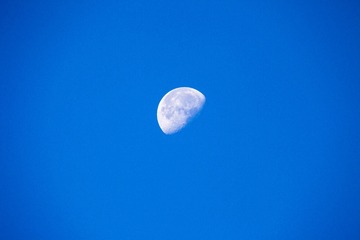 1307988