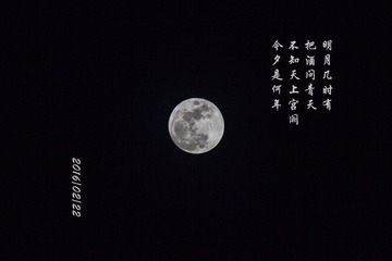 1308232