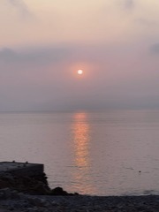 785076D5-A07D-48B7-876E-E48E21CAD461/L0/001