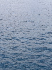 4E7B5A5F-6199-4D1C-BFB3-691380E97FB7/L0/001