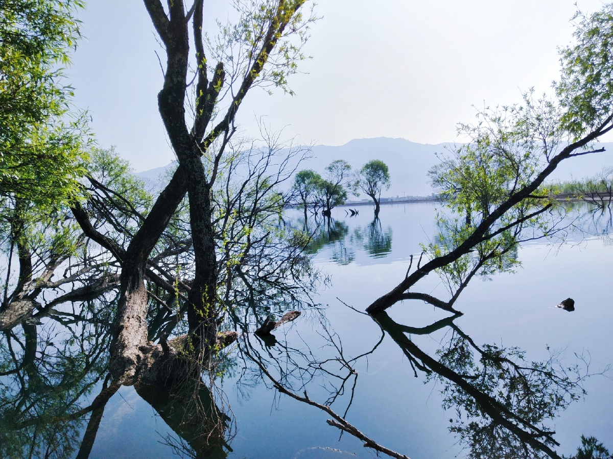 林隐水现于浅处见鱼