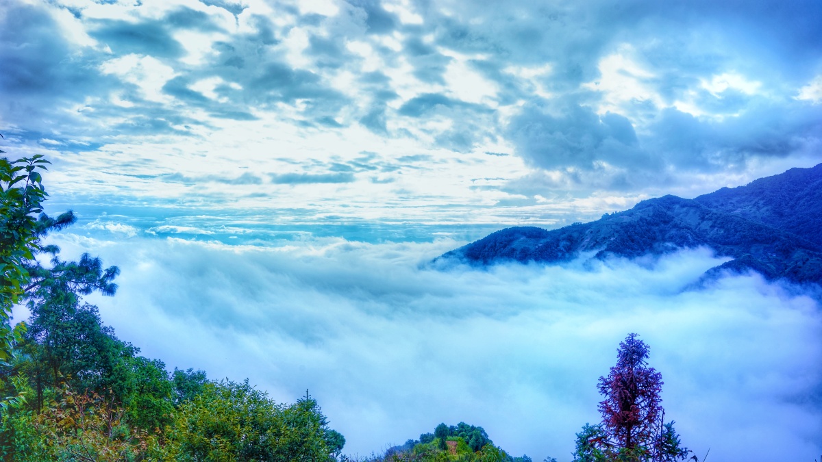 哀牢山云海