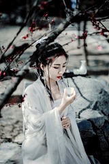 D8D62686-0DA9-4A40-A7BA-C794B44DE375/L0/001