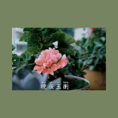 19072