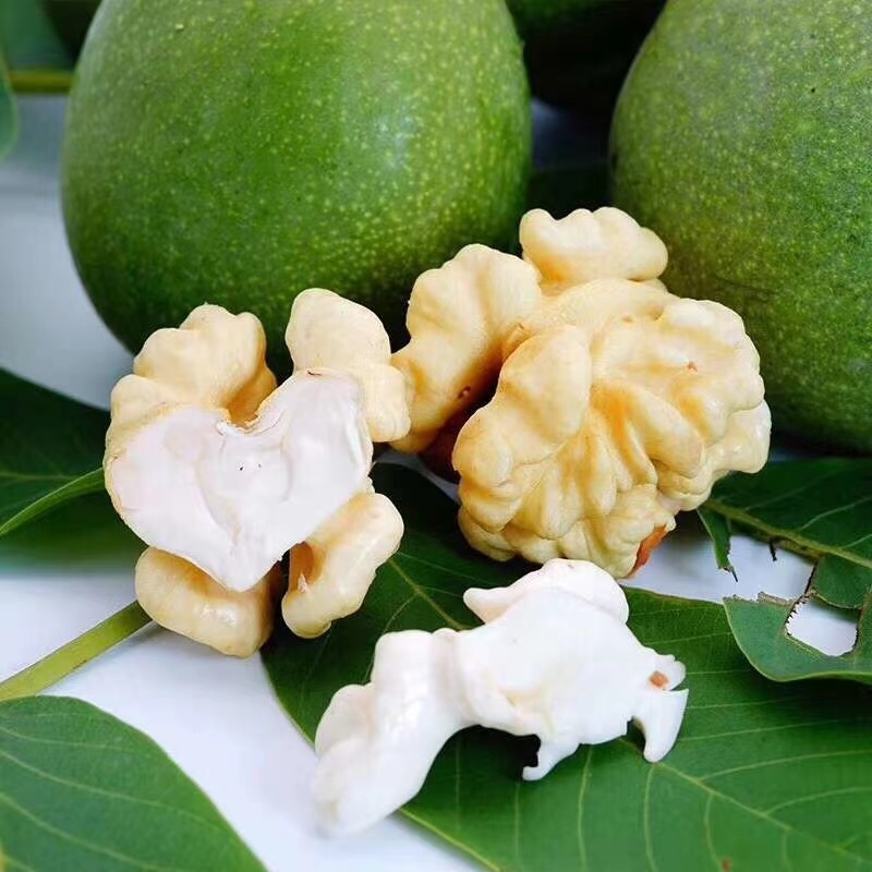 鲜核桃核桃仁 - 有机美食开发老刘 - 图虫