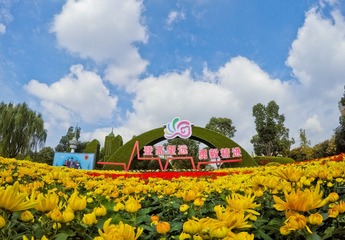 555041