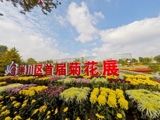 555033