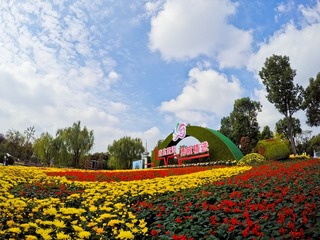 555040