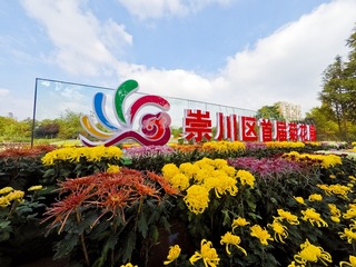 555035
