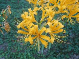 P9030477