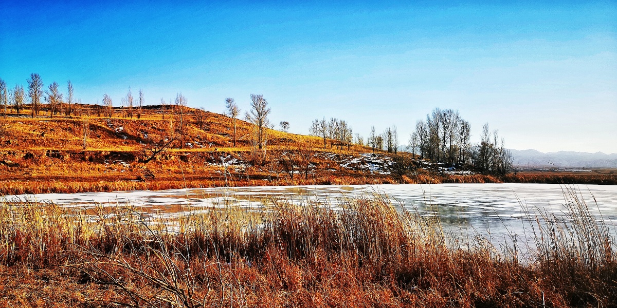 大同桑干河湿地