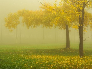 _DSC4503-2
