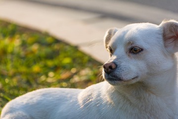 _DSC4383-3