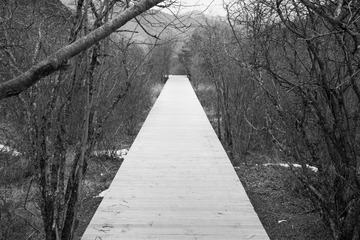 _DSC0309-3