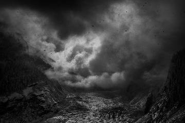 _DSC8169