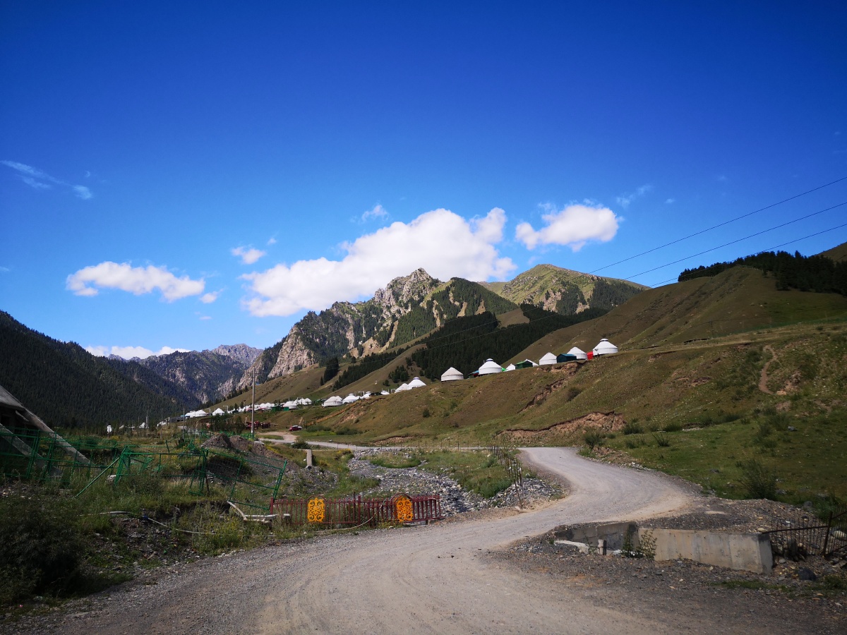 南山牧场白杨沟