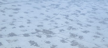 1000019683