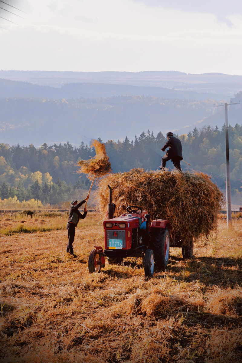 纪实摄影—农忙