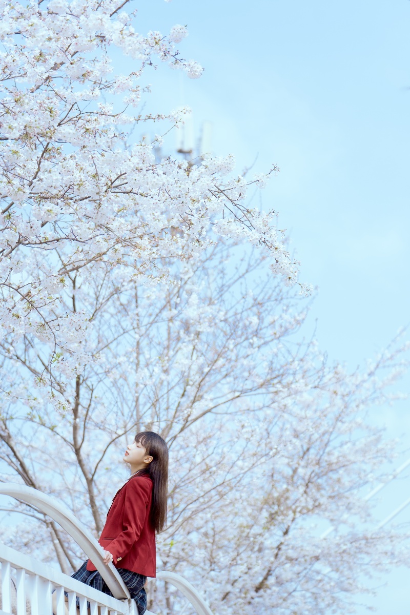 春天樱花下漂亮的jk小姐姐