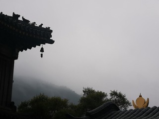 6598312