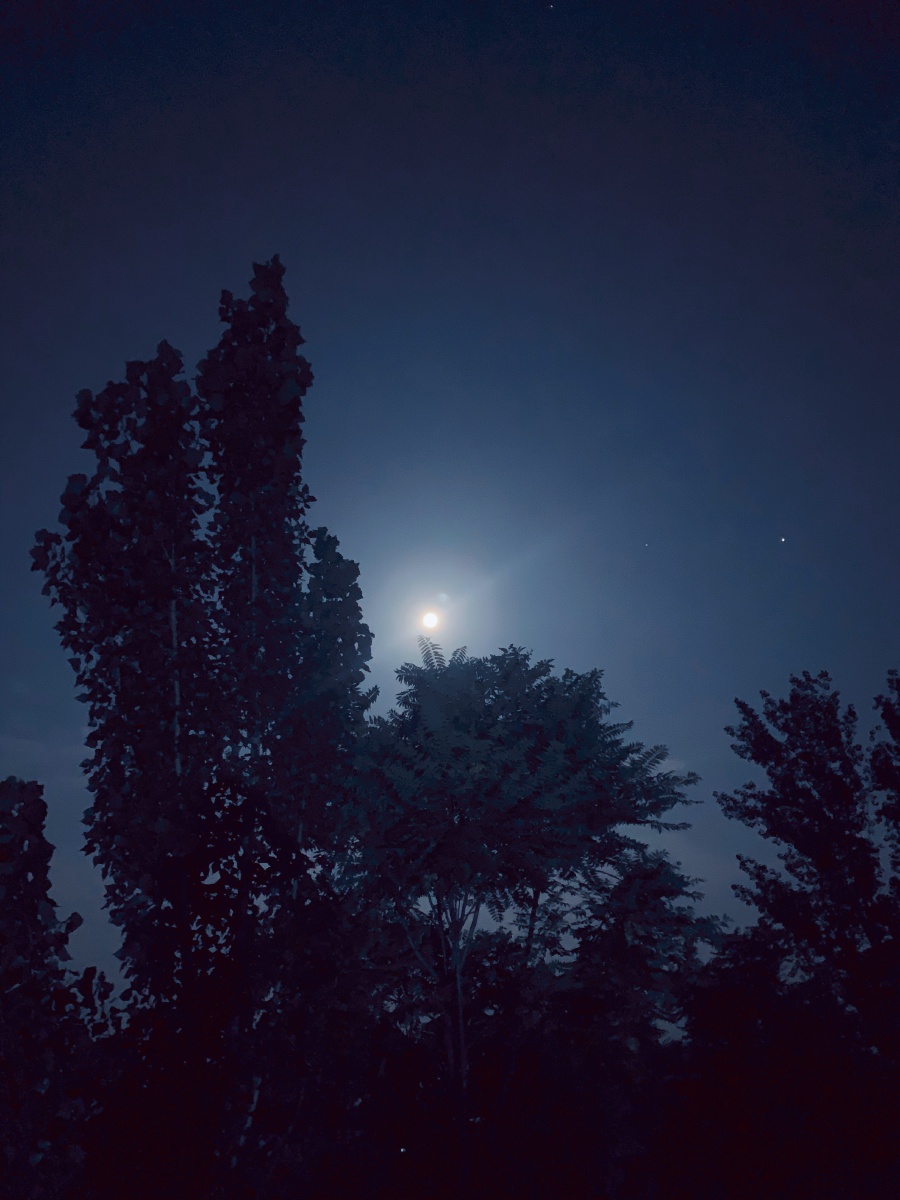 夜晚的月亮
