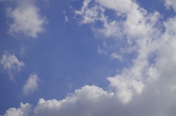8695F0A6-D561-4F37-B06C-0B8F15DE1A5E/L0/001