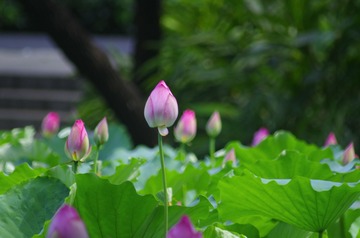 5D67C375-1908-410D-A133-26D4DBB6B6F9/L0/001