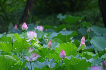 6355956C-F8F3-41CF-B207-848DBF0296E5/L0/001