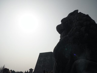 P2011244