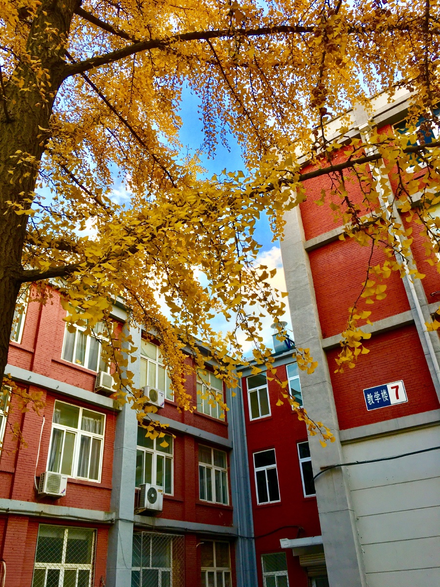 北京交通大学第七教学楼