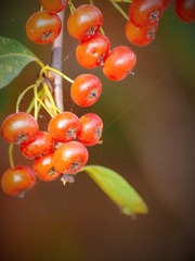 B12C1D16-C483-4AD5-A70D-8F9338C50FC0/L0/001