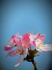 14A84AAD-6D24-432F-BEC3-F12322D768AF/L0/001