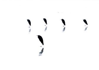 17214
