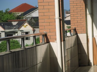 1551599