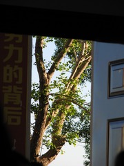 1808648