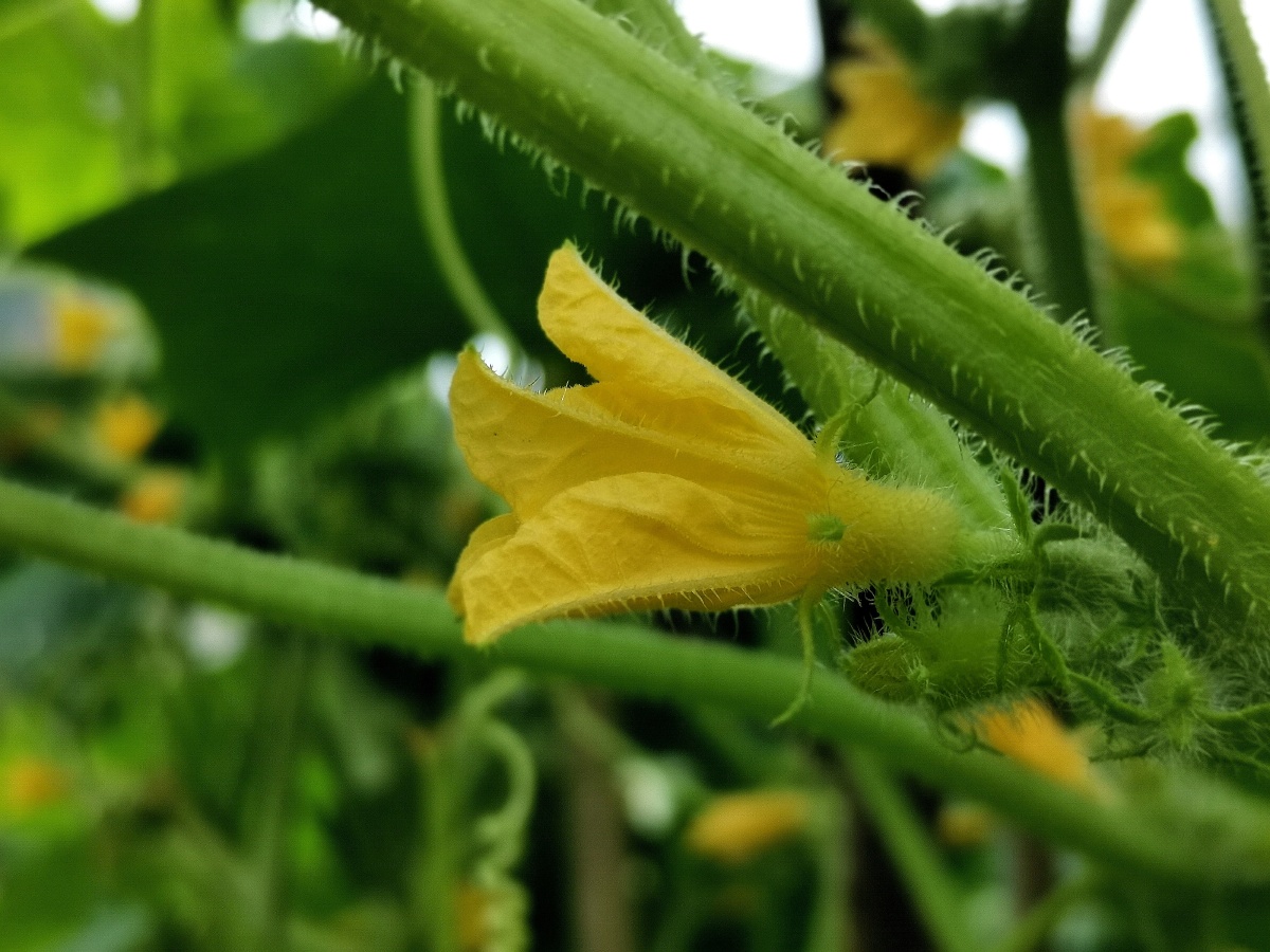 努力发现周边环境的美9595 - 雨彐w - 图虫