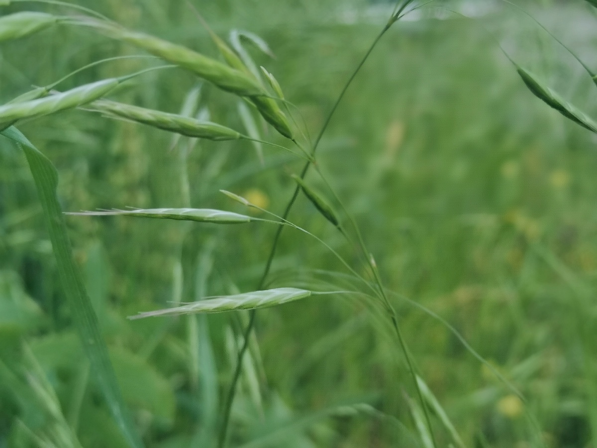 五月 与植物为伴 与绿色为主努力让自己变开心 - 雨彐w - 图虫