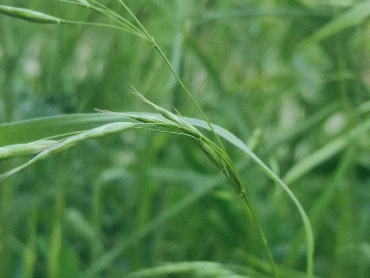 五月 与植物为伴 与绿色为主努力让自己变开心 - 雨彐w - 图虫