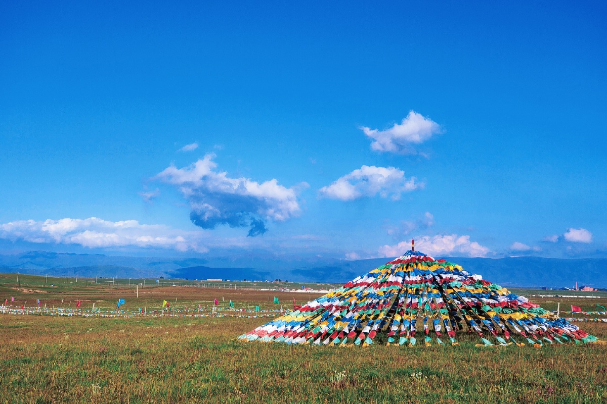 青海金银滩草原