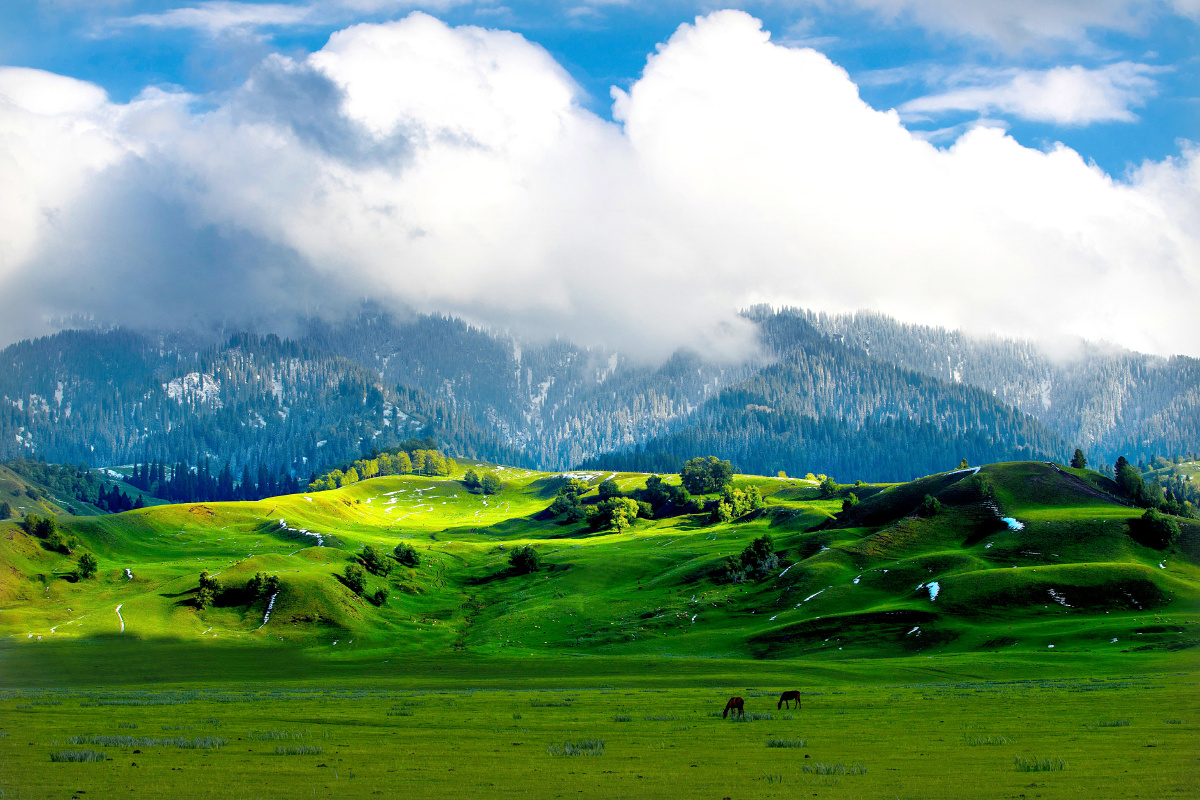 美丽迷人的那拉提大草原