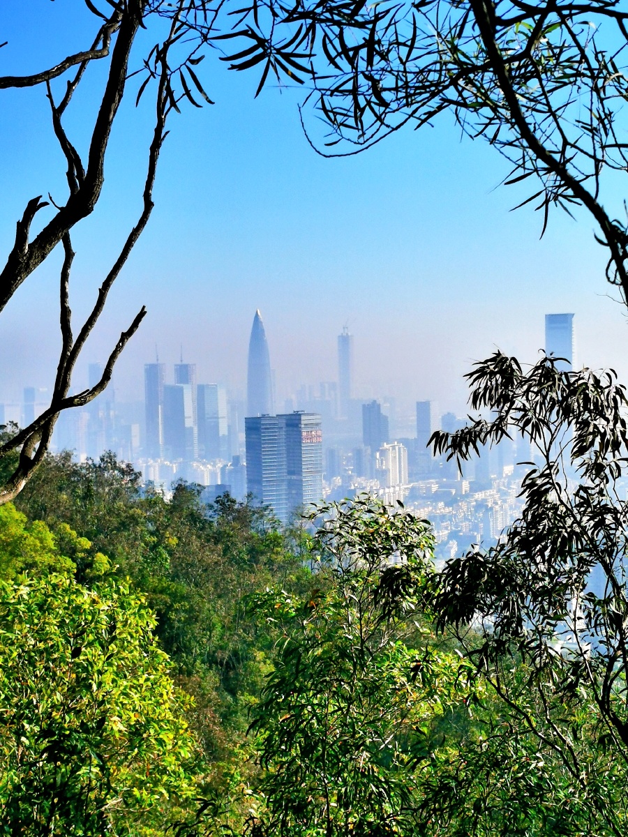 南山云海蓝浊分界早起的风景别有韵味