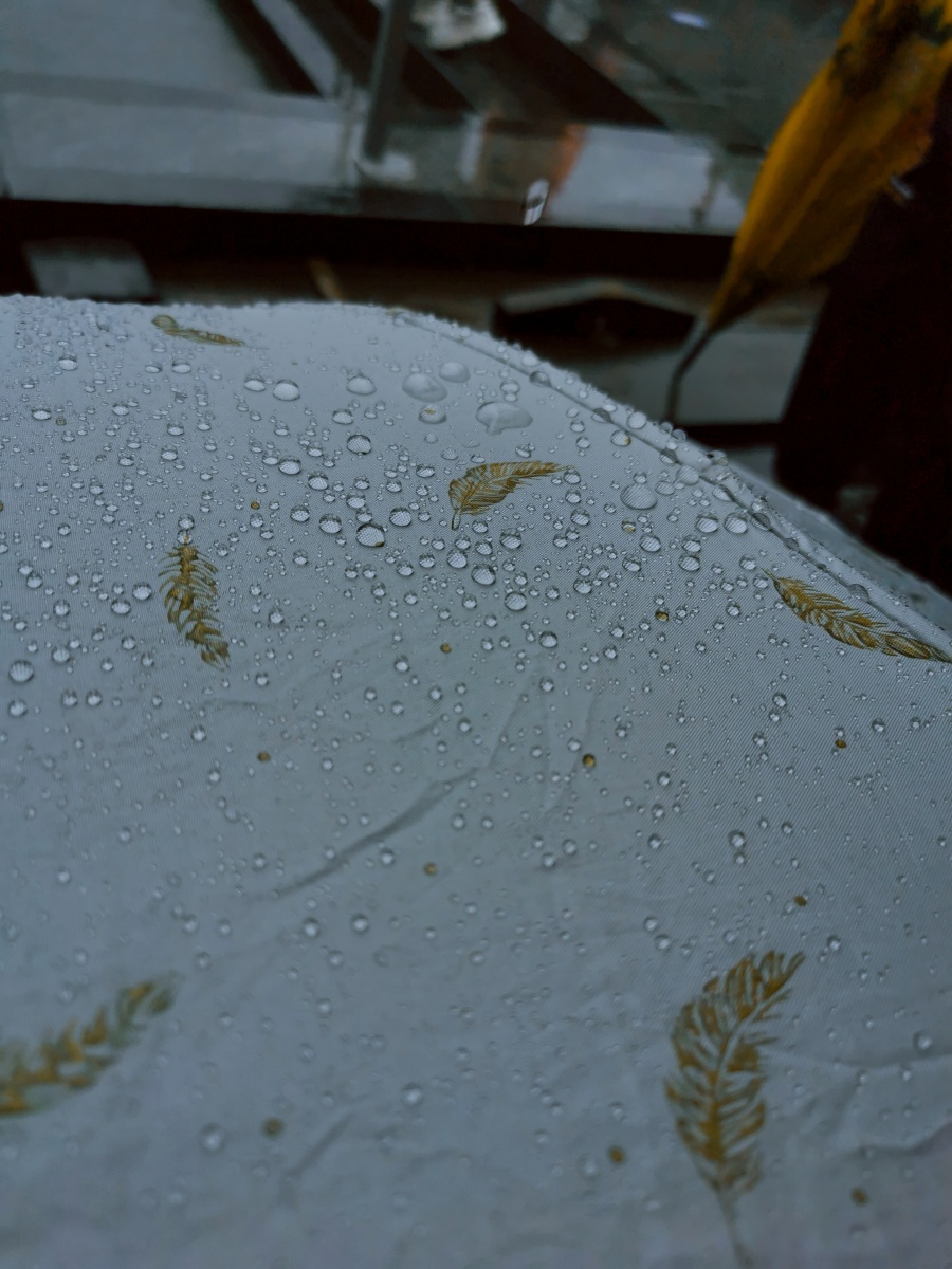 天气不好在下雨74打湿的不仅是我的伞